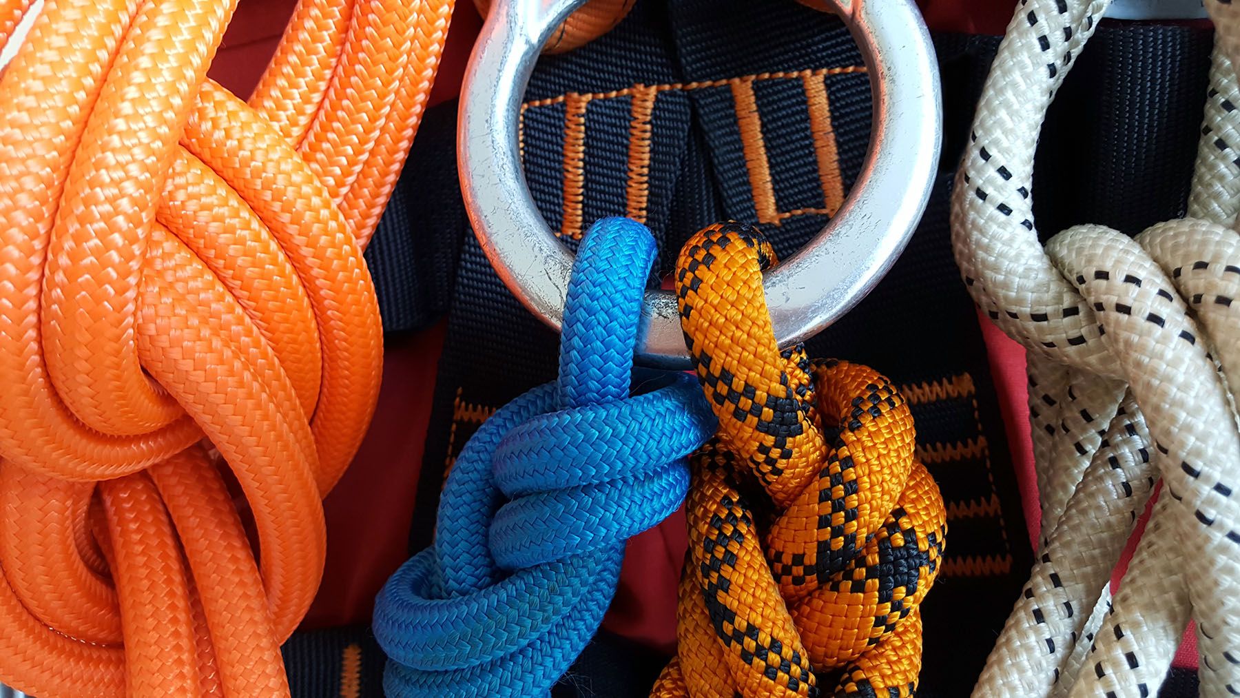 Image of ropes for the blog post what is rope access